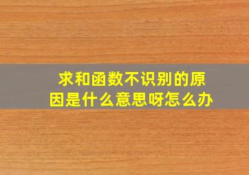 求和函数不识别的原因是什么意思呀怎么办