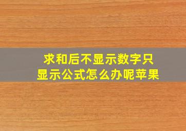 求和后不显示数字只显示公式怎么办呢苹果