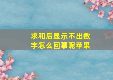 求和后显示不出数字怎么回事呢苹果