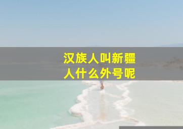 汉族人叫新疆人什么外号呢