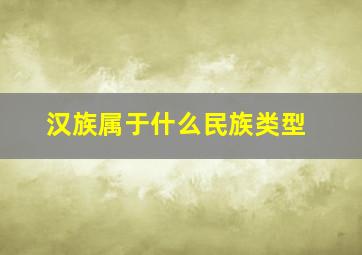 汉族属于什么民族类型