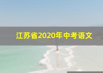 江苏省2020年中考语文