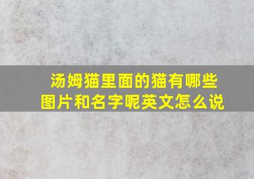 汤姆猫里面的猫有哪些图片和名字呢英文怎么说