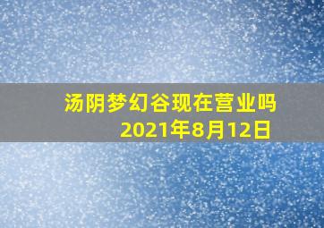 汤阴梦幻谷现在营业吗2021年8月12日