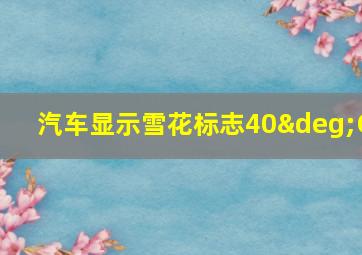 汽车显示雪花标志40°C