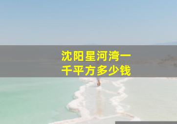 沈阳星河湾一千平方多少钱