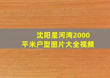 沈阳星河湾2000平米户型图片大全视频