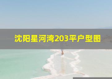 沈阳星河湾203平户型图