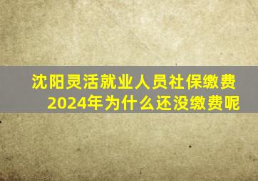 沈阳灵活就业人员社保缴费2024年为什么还没缴费呢