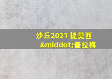 沙丘2021 提莫西·查拉梅