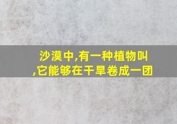 沙漠中,有一种植物叫,它能够在干旱卷成一团