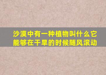 沙漠中有一种植物叫什么它能够在干旱的时候随风滚动