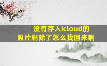 没有存入icloud的照片删除了怎么找回来啊