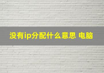 没有ip分配什么意思 电脑