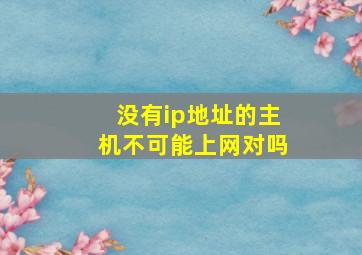 没有ip地址的主机不可能上网对吗