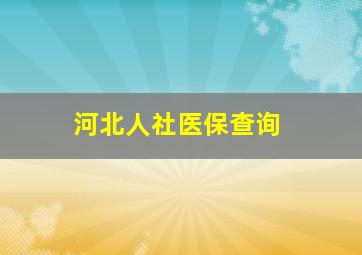 河北人社医保查询