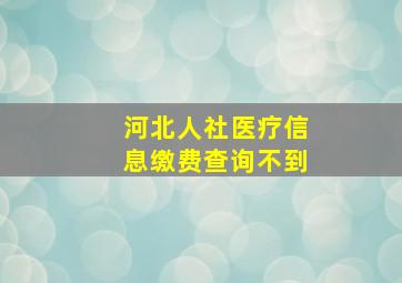 河北人社医疗信息缴费查询不到