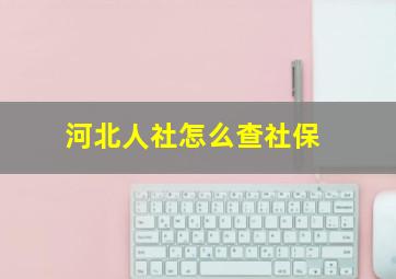 河北人社怎么查社保