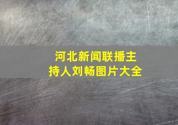 河北新闻联播主持人刘畅图片大全