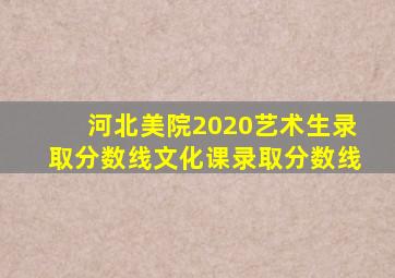 河北美院2020艺术生录取分数线文化课录取分数线