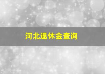 河北退休金查询