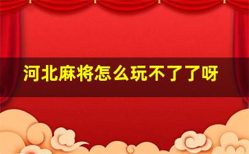 河北麻将怎么玩不了了呀