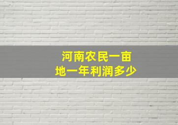 河南农民一亩地一年利润多少