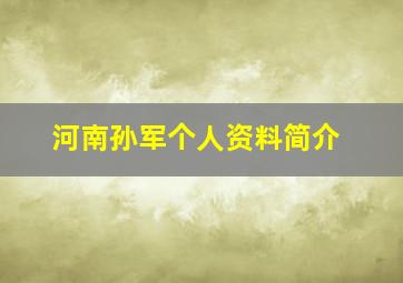 河南孙军个人资料简介