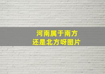 河南属于南方还是北方呀图片