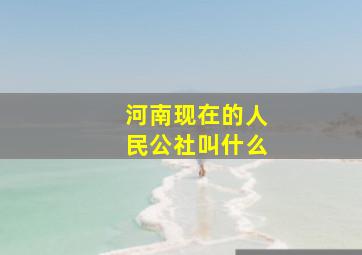 河南现在的人民公社叫什么