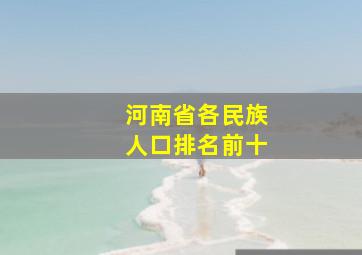 河南省各民族人口排名前十