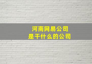 河南网易公司是干什么的公司