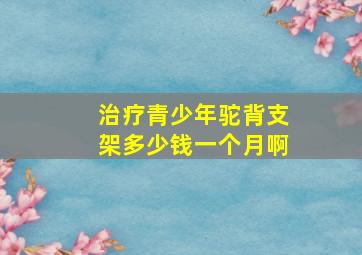 治疗青少年驼背支架多少钱一个月啊