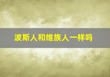 波斯人和维族人一样吗