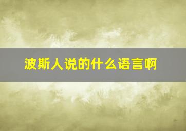 波斯人说的什么语言啊