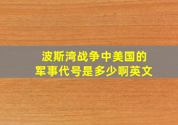 波斯湾战争中美国的军事代号是多少啊英文