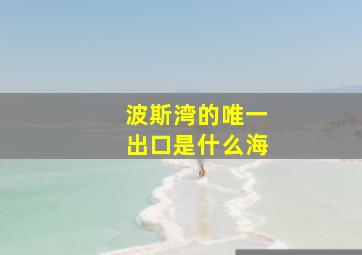 波斯湾的唯一出口是什么海