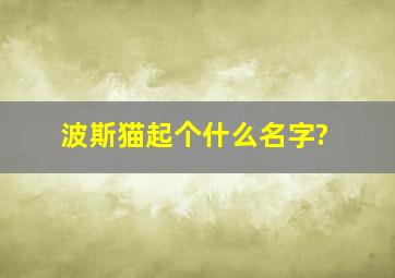 波斯猫起个什么名字?