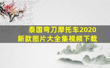 泰国弯刀摩托车2020新款图片大全集视频下载