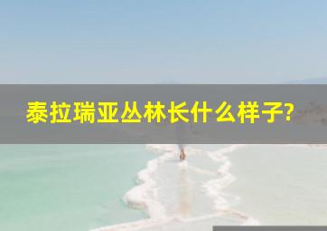 泰拉瑞亚丛林长什么样子?