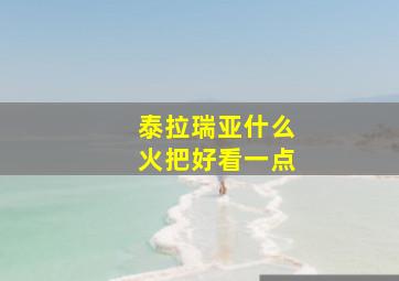 泰拉瑞亚什么火把好看一点