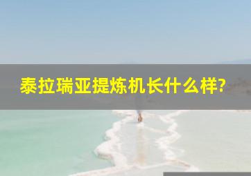 泰拉瑞亚提炼机长什么样?