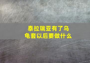 泰拉瑞亚有了乌龟套以后要做什么