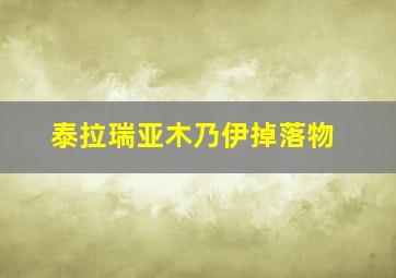 泰拉瑞亚木乃伊掉落物