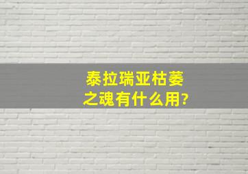 泰拉瑞亚枯萎之魂有什么用?