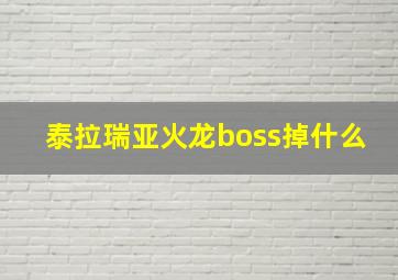 泰拉瑞亚火龙boss掉什么