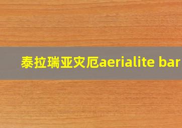 泰拉瑞亚灾厄aerialite bar