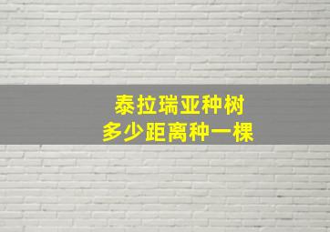 泰拉瑞亚种树多少距离种一棵