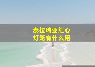 泰拉瑞亚红心灯笼有什么用