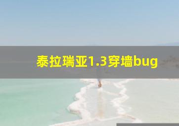 泰拉瑞亚1.3穿墙bug